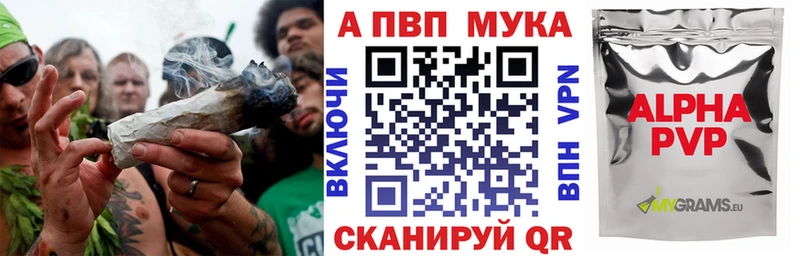 где купить наркоту  Котельнич  A PVP Crystall 
