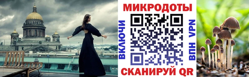 Псилоцибиновые грибы ЛСД  kraken ONION  Котельнич 